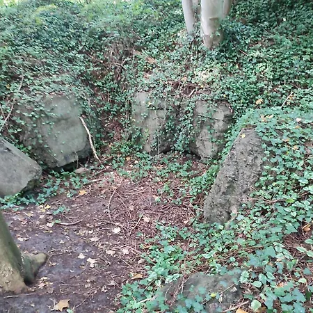 בית נופש 6 Person In