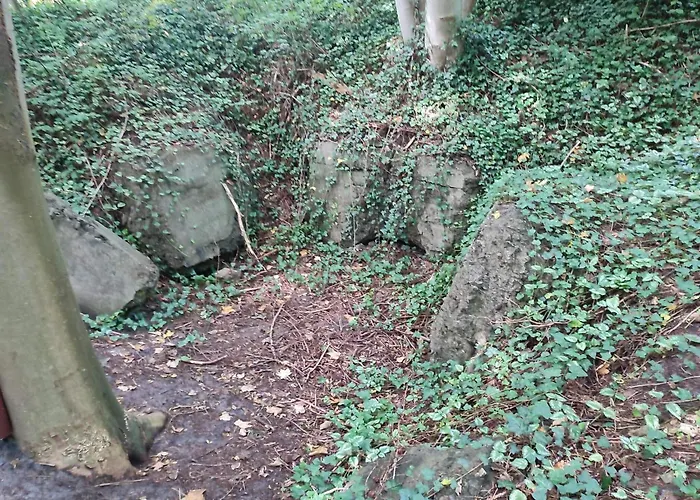 Дом отдыха 6 Person In